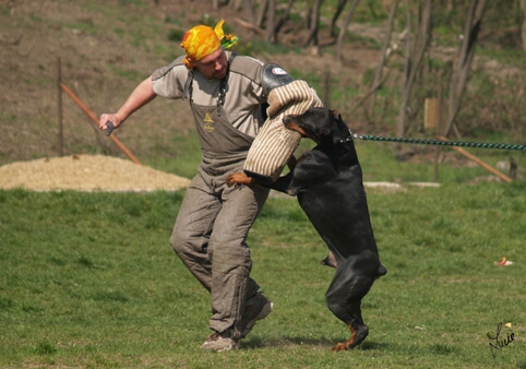 Santa Julf Efrat - training 4. 4. 2007